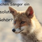 Braucht man als Sänger ein absolutes Gehör?