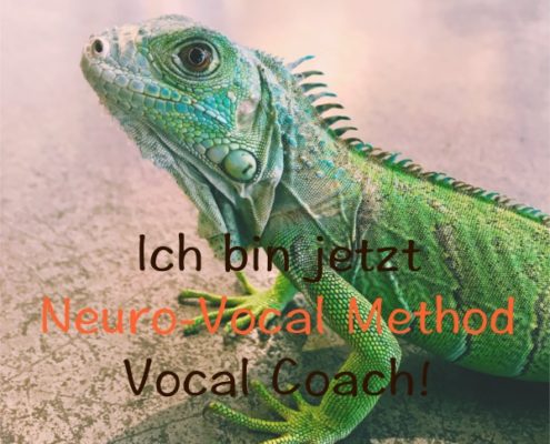 Neuro-Vocal Method Das Bild zeigt eine Eidechse.