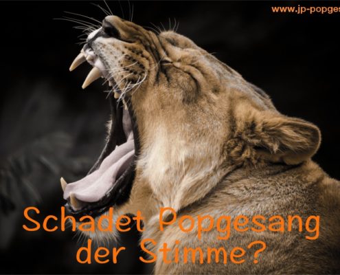 Stimmschäden im Popgesang Das Foto zeigt einen Löwen, der gähnt.