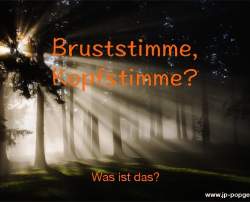 Bruststimme und Kopfstimme Das Foto zeigt Bäume in einem Wald, hinter denen die Sonne scheint und Strahlen auf den dunklen Waldboden wirft.