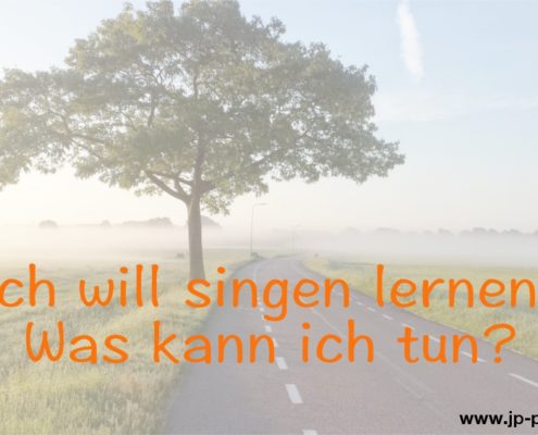 Optionen für das Singen lernen Das Foto zeigt einen Baum an einer Straße, die am Horizont im Nebel verschwindet.