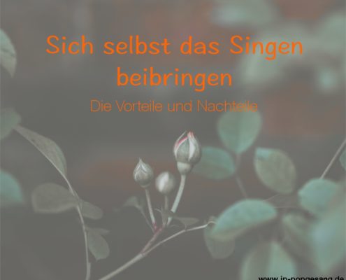 Sich selbst das Singen beibringen - Die Vorteile und Nachteile Das Foto zeigt eine Rosenknospe an einem Rosenbusch, die sich gerade öffnet.