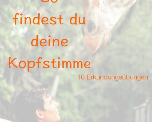 Kopfstimme finden Das Foto zeigt einen Mann, dein einer Giraffe ins Gesicht schaut.