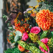 Vokale Ausdrucksmittel sind wie Blumen in einem Blumengeschäft.