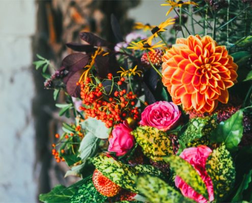 Vokale Ausdrucksmittel sind wie Blumen in einem Blumengeschäft.
