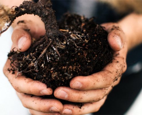 Gesangsübungen müssen hässlich klingen - genauso wie Hände schmutzig werden müssen, wenn du einen Baum einpflanzt.